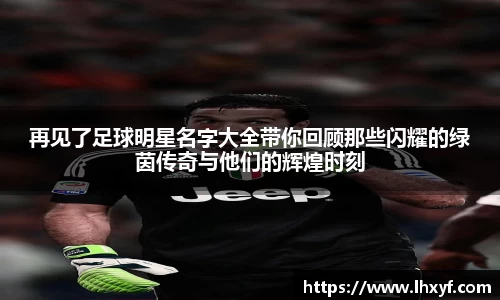 再见了足球明星名字大全带你回顾那些闪耀的绿茵传奇与他们的辉煌时刻